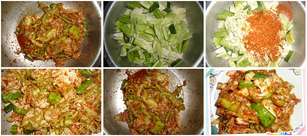 正宗韩式泡菜的做法