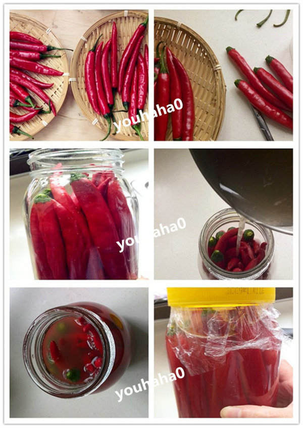 自制酸黄瓜的做法,酸红椒的做法